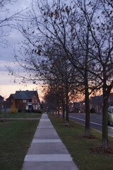 Obraz premium sunset in the city