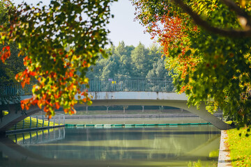 Obraz premium The colorful trees in autumn