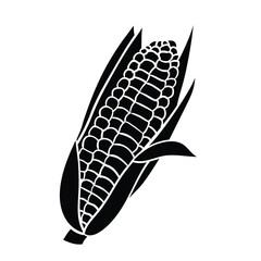 Hand drawing style of corn vector. It is suitable for plant icon, sign or symbol.