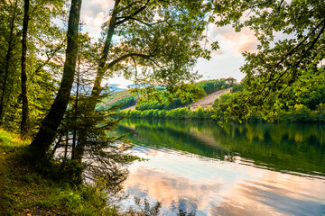 Obraz premium View of the Oestertalsperre and the surrounding nature. Landscape near Plettenberg in the Märkischer Kreis. 