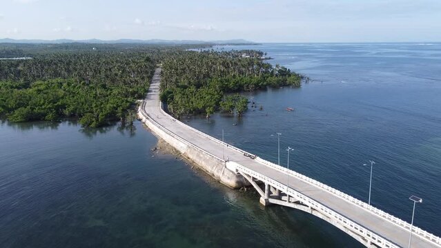 Catangnan Bridge and coastal road through Mangroves and Palm forest, Siargao