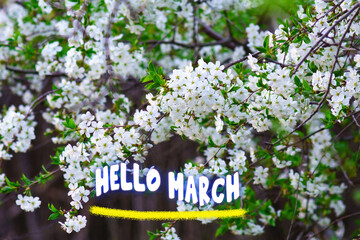 Hello March - Springtime, white flowers blossoming twigs. The beginning of the season