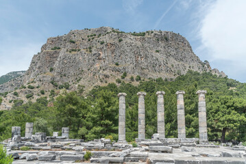 Ruins of the ancient city of Priene on the ground and upright columns among the trees
