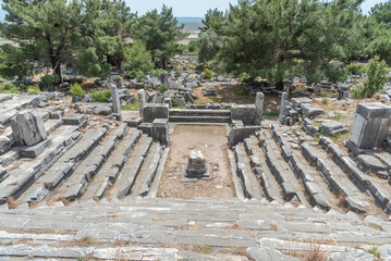 Ruins of the ancient city of Priene on the ground and upright columns among the trees