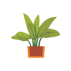 vector plant with brown pot plant