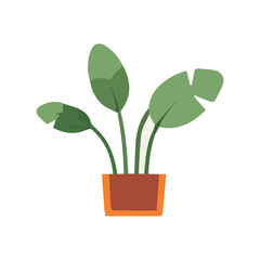 vector plant with brown pot plant