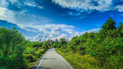 Pantai Sepat, Kuantan Pahang, Malaysia - November 29, 2023: 
A grey road in the green jungle and...