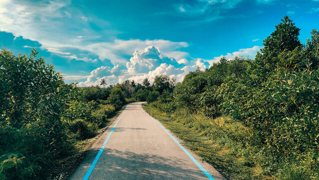 Pantai Sepat, Kuantan Pahang, Malaysia - November 29, 2023: a grey road and blue line markings cycle path with a beautiful trees and blue sky. 