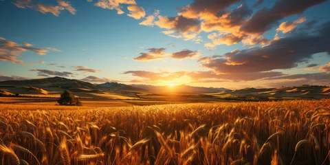 Fototapeten Beautiful landscape of sunset over wheat field at summer © bird_saranyoo