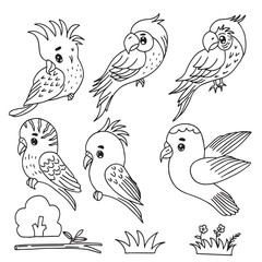 set of adorable bird animal isolated on white background. tropical animal