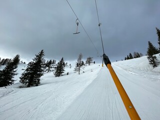 Skifahren - Schifahren 