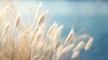 Thatch by the lake in autumn, illustration material of the twenty-four solar terms