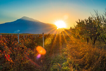 Sunset over the Ararat mountains with vineyards and ancient Khor Virap monastery at fall. Travel...