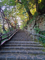 It is a forest with uphill stairs.