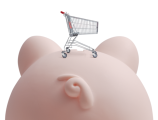 Empty shopping cart on a piggy bank