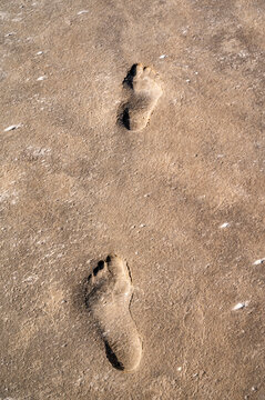 Two footprints in brown mud