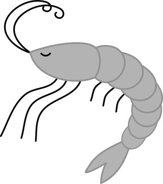 recommend clip art: cute shrimp cartoon
