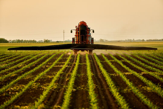 Tractor spraying fertilizer on corn crops in field under sky at sunset