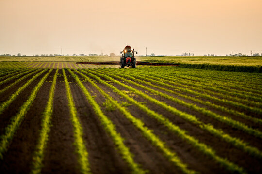 Tractor spraying fertilizer on corn field at sunset under sky
