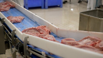 Meat processing in the food industry. Raw meat on a conveyor belt. Meat is transported on a...