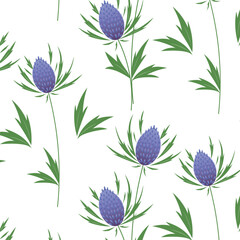 Panicaut  flowers seamless vector pattern for web, textile,cards. 