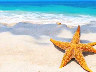 Fototapeta na wymiar Close-up of a starfish on the seashore