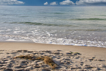 On the coast of the Baltic Sea. Waves roll onto the sandy beach. Nature photo