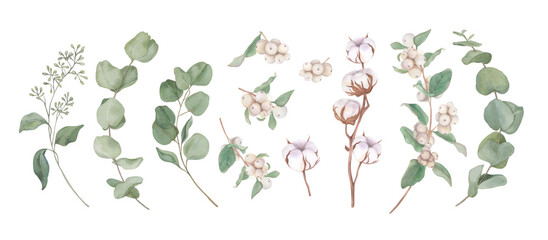 Set of eucalyptus, snowberry and cottonwood branches
