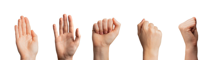 Hand gesture, greeting signs with palm waving hi and fists raised up, isolated on white transparent png - obrazy, fototapety, plakaty