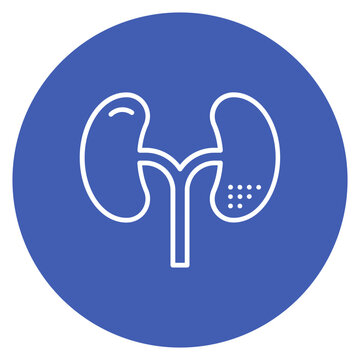 Kidneys Line Icon