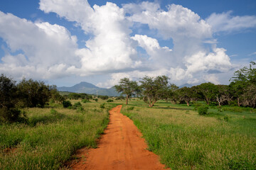 Kenia Africa national park