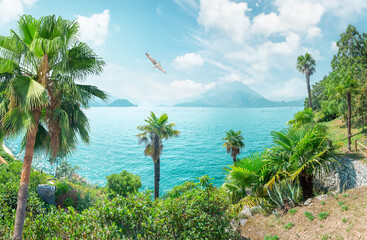 Fototapeta na wymiar Palm trees on Lake Como