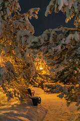 snow landscape in the park