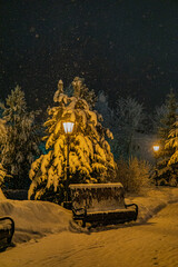 park in winter