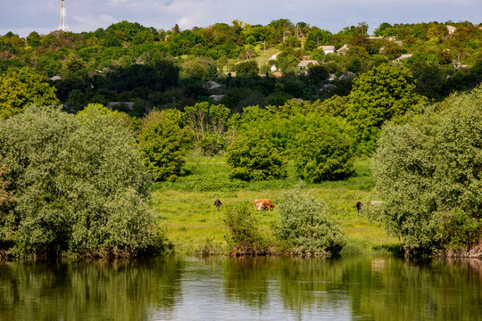 View of a Dniestr river bank in Ukraine from Soroca, Moldova