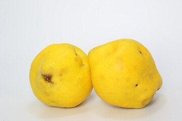 yellow quinces on white background