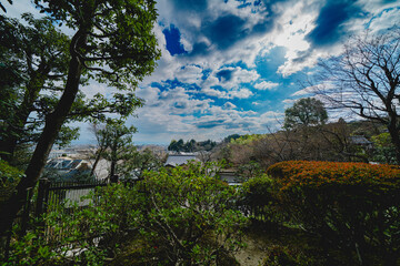 Fototapeta na wymiar 京都の鈴虫寺の庭園