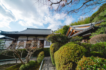 京都の鈴虫寺の庭園