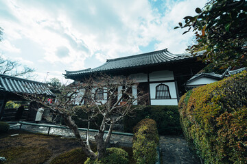 Fototapeta na wymiar 京都の鈴虫寺の庭園