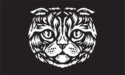 Scottish_Fold_Cat_on_dark_background