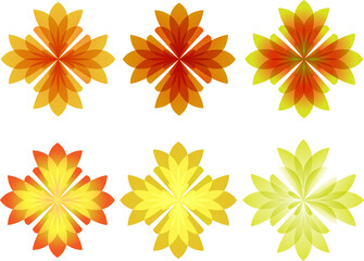 Elegant roses boasting rich