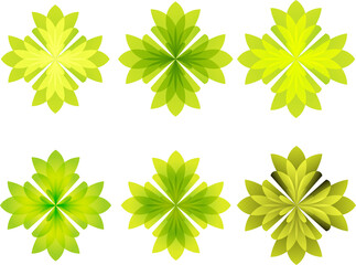 Elegant roses boasting rich