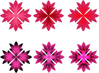 Elegant roses boasting rich