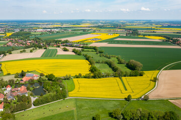 aerial view countryside with fields of sunflowers and rapeseed