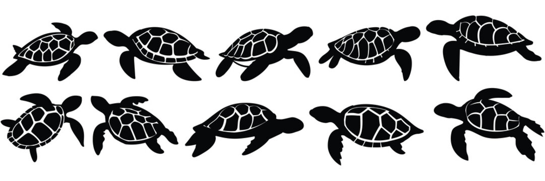 Sea turtle caretta silhouettes set, large pack of vector silhouette design, isolated white background