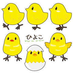 可愛いひよこのイラスト素材セット
