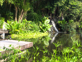 Beautiful little waterfall in tropical forest