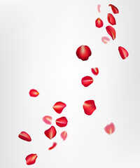 Realistic flying red rose petals on a white background. Perfect for romantic cards, weddings, and Valentine's Day celebrations. The design creates a beautiful, natural, and festive atmosphere. Not AI - obrazy, fototapety, plakaty