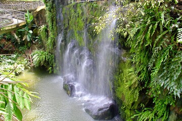 A waterfall in Kuala Lumpur Bird Park