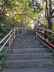 
It is a forest path with uphill stairs.